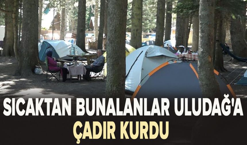 Sıcaktan bunalanlar Uludağ'a çadır kurdu