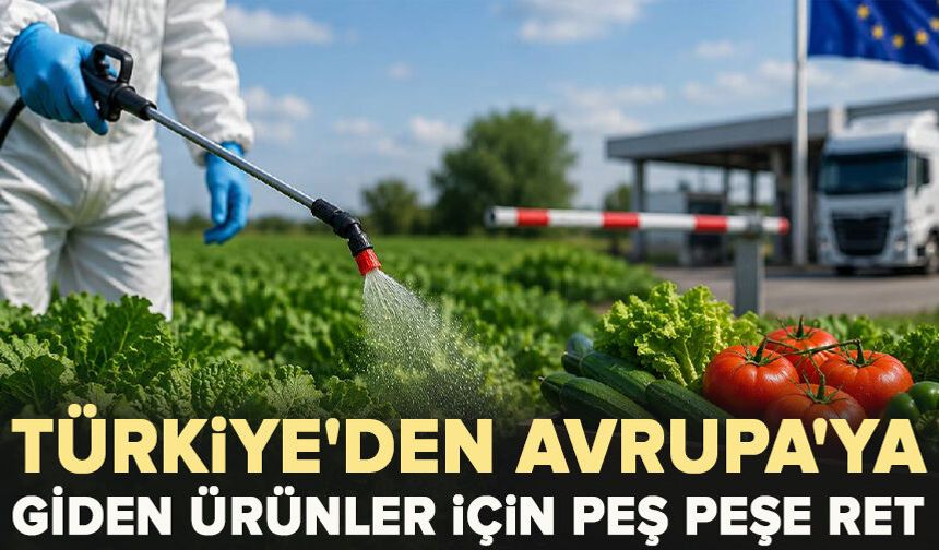Türkiye'den Avrupa'ya giden ürünler için peş peşe ret