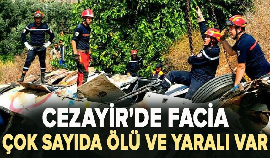 Cezayir'de facia: Çok sayıda ölü ve yaralı var