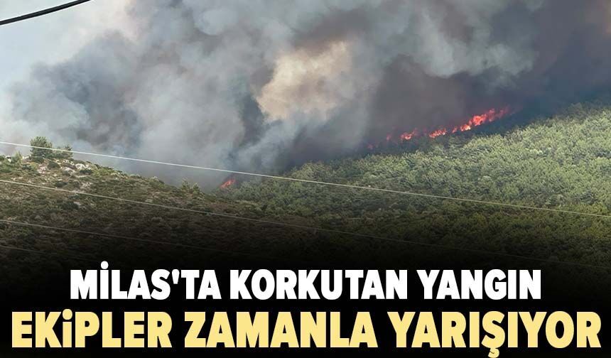 Milas'ta korkutan yangın: Ekipler zamanla yarışıyor