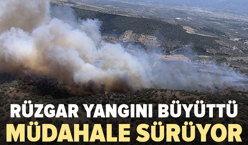 Alevlere müdahale büyüdü: Uçak ve helikopter sayısı artırıldı