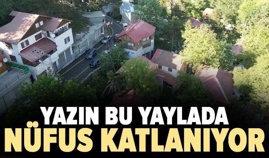 Yazın bu yaylada nüfus katlanıyor