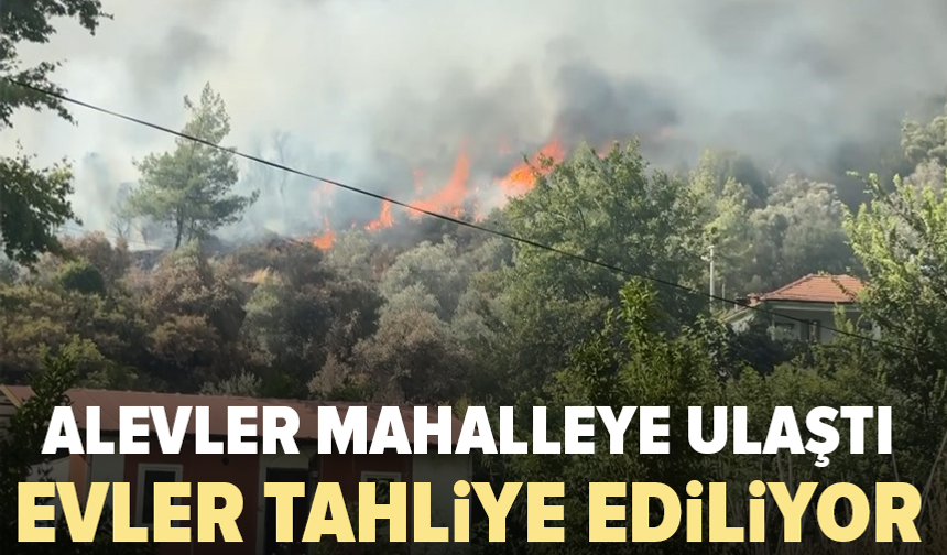 Orman yangını evlere sıçradı: Ekiplerin müdahalesi sürüyor