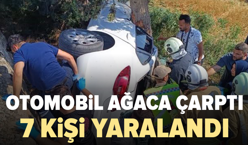 Otomobil şarampole devrildi: Yaralılar var