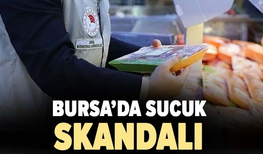 Bursa’da sucuk skandalı: Dana eti denilen üründe tek tırnaklı eti çıktı