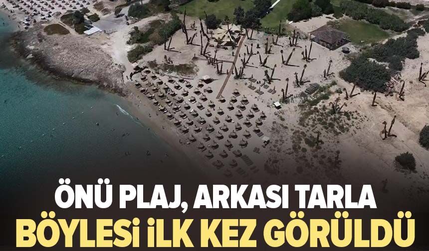 Önü plaj, arkası tarla! Böylesi ilk kez görüldü