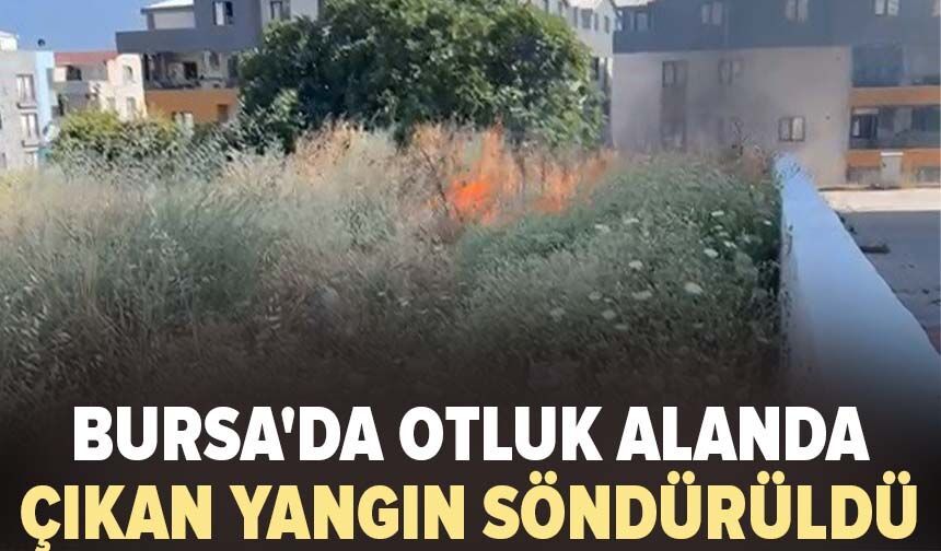 Bursa'da otluk alanda çıkan yangın söndürüldü