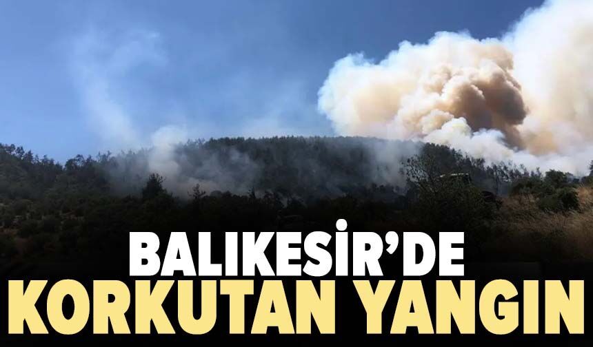 Balıkesir'de orman yangını