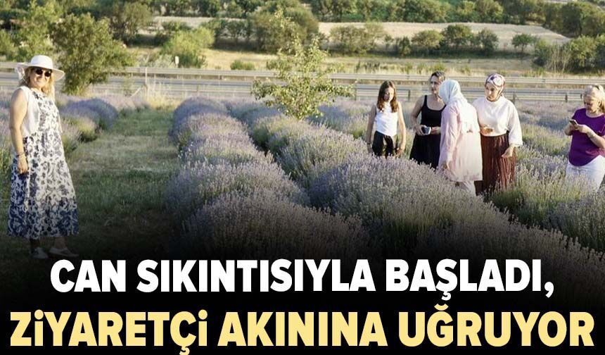 Can sıkıntısıyla başladı, ziyaretçi akınına uğruyor