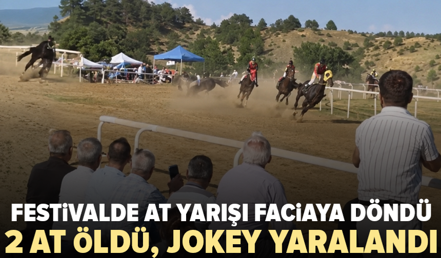 Taşköprü Sarımsak Festivali’nde korkunç kaza: 2 at öldü, jokey yaralandı