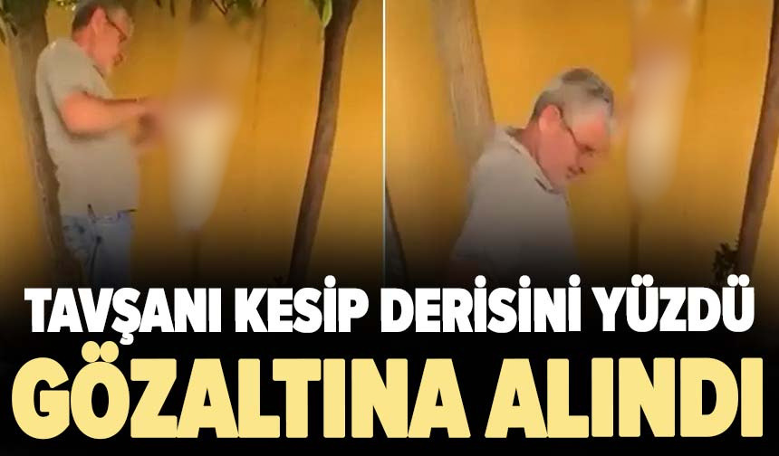 Tavşanı kesip derisini yüzdü! Gözaltına alındı