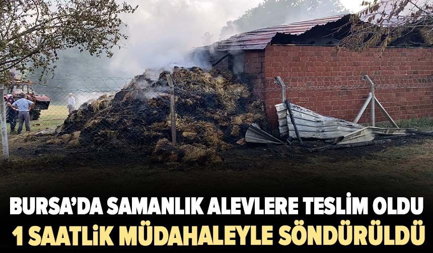 Bursa'da samanlık alevlere teslim oldu