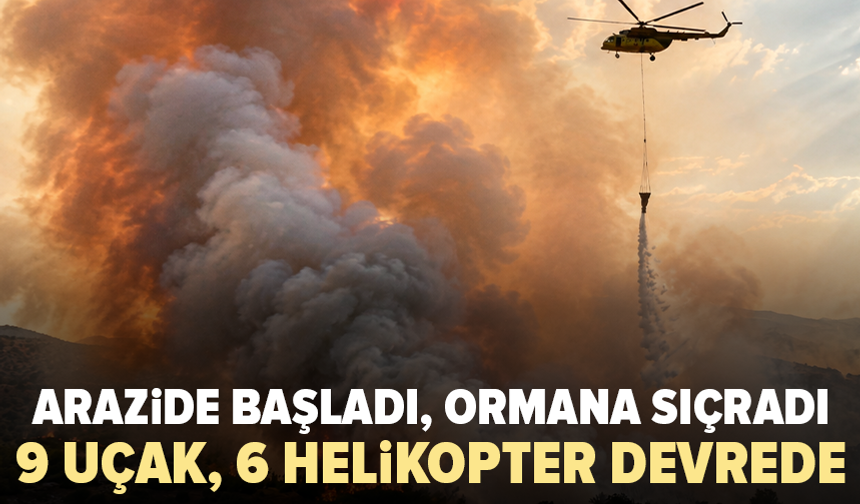Tarım arazisinden ormana sıçrayan yangına müdahale sürüyor