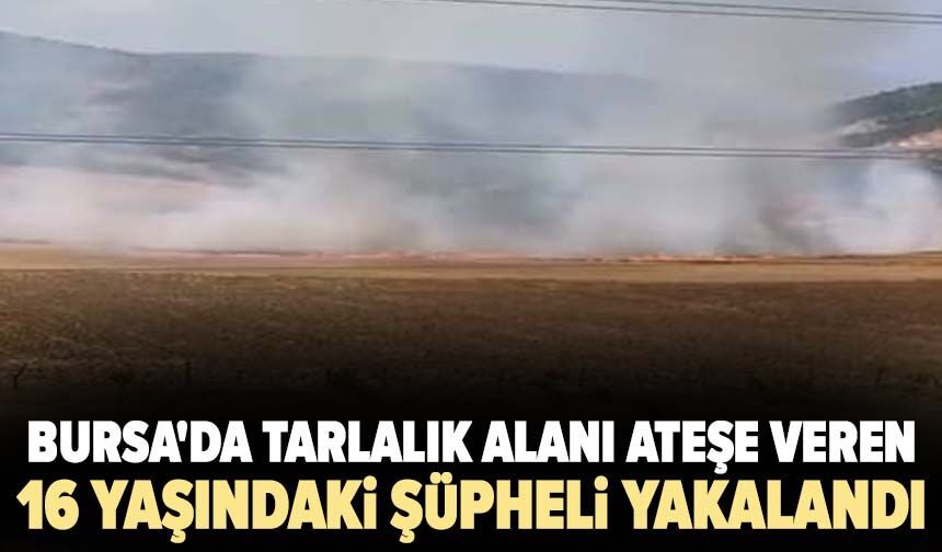 Bursa'da tarlalık alanı ateşe veren şüpheli yakalandı