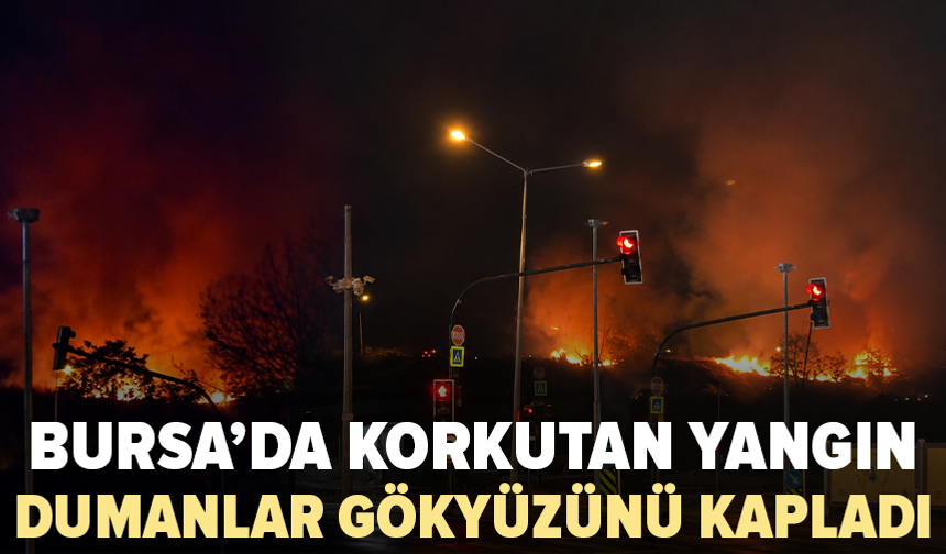 Bursa’da gece saatlerinde yangın paniği