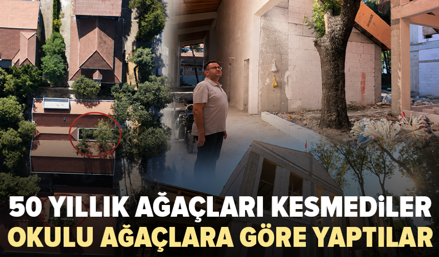 Bursa'da örnek proje: 50 yıllık ağaçlar okulun içinde yaşayacak