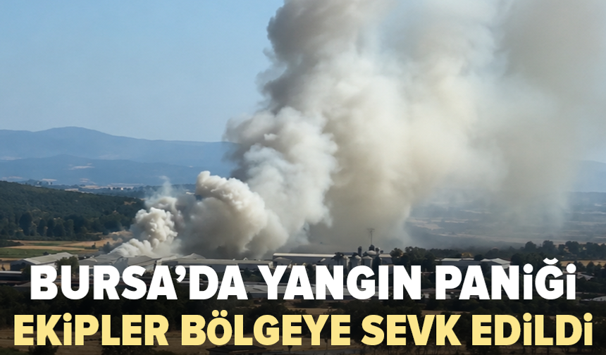Bursa’da tavuk çiftliği alevlere teslim oldu