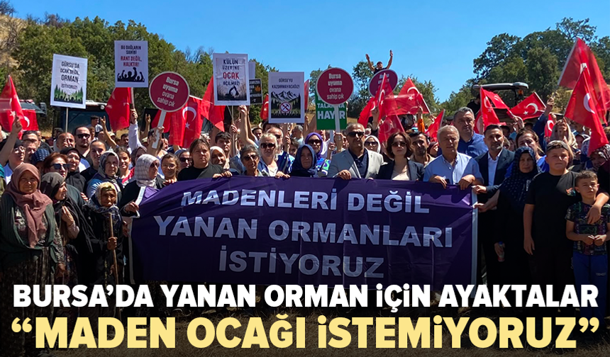 Bursa’da yanan orman alanındaki maden projesine köylülerden tepki