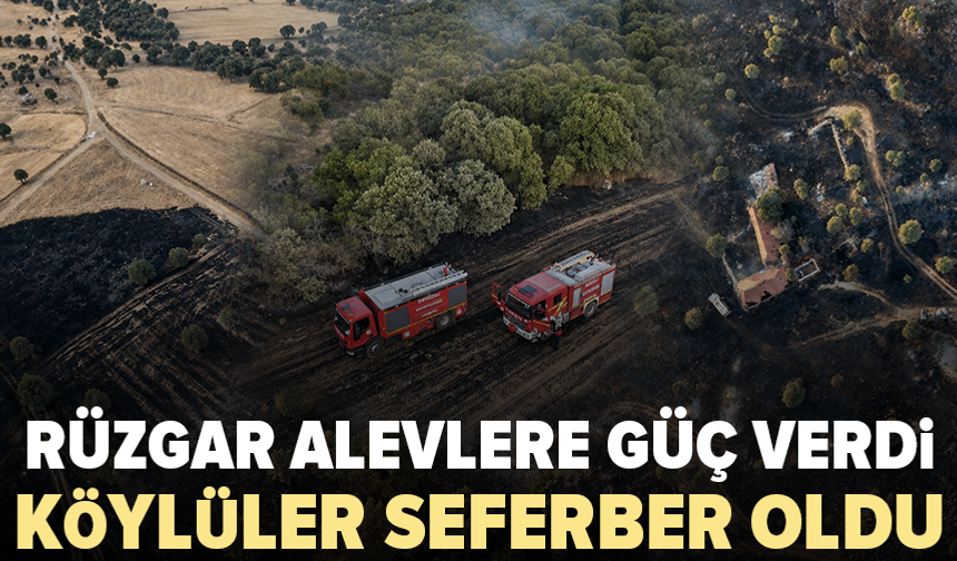Arazi yangını 100 dönümü küle çevirdi