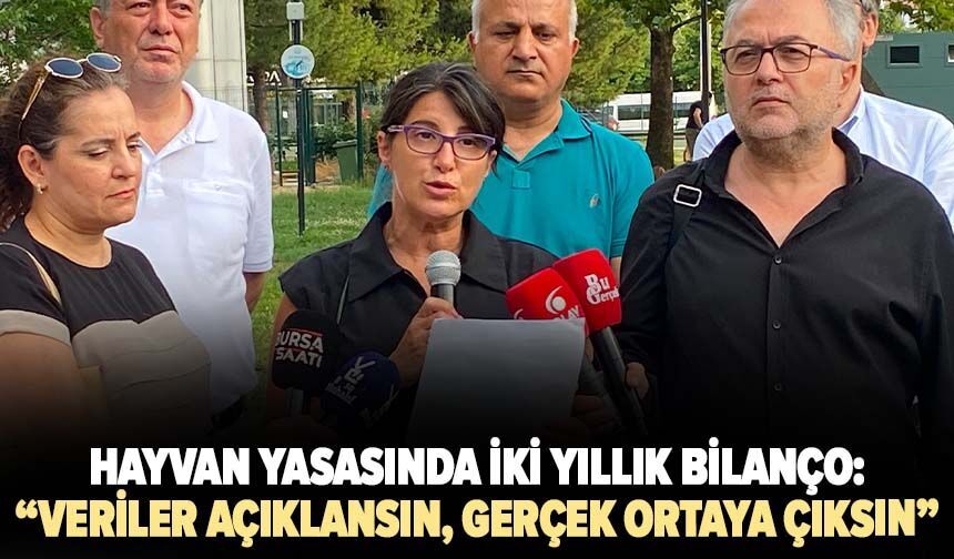 Hayvan yasasında iki yıllık bilanço: “Veriler açıklansın, gerçek ortaya çıksın”