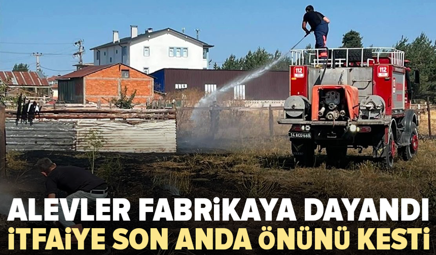 Alevler kereste fabrikasına metreler kala durduruldu