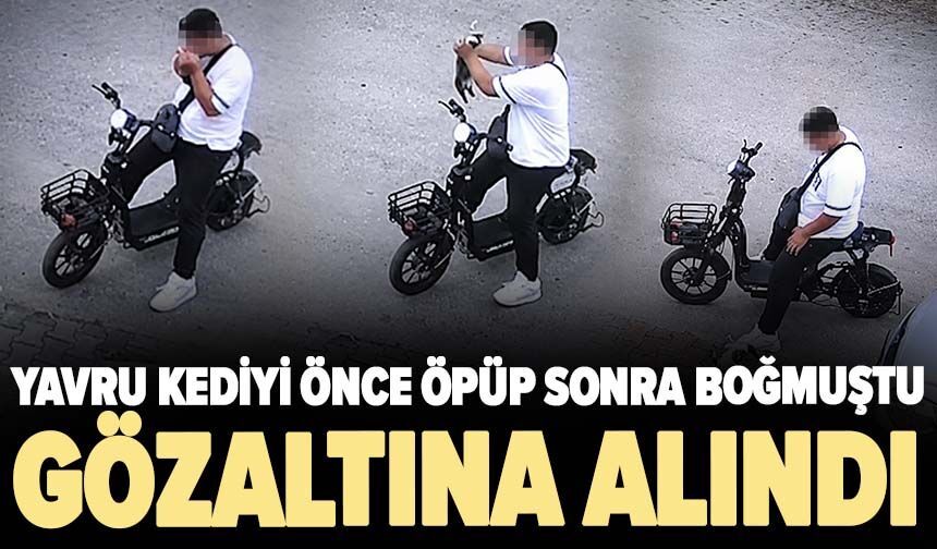 Yavru kediyi önce öpüp sonra boğmuştu, gözaltına alındı