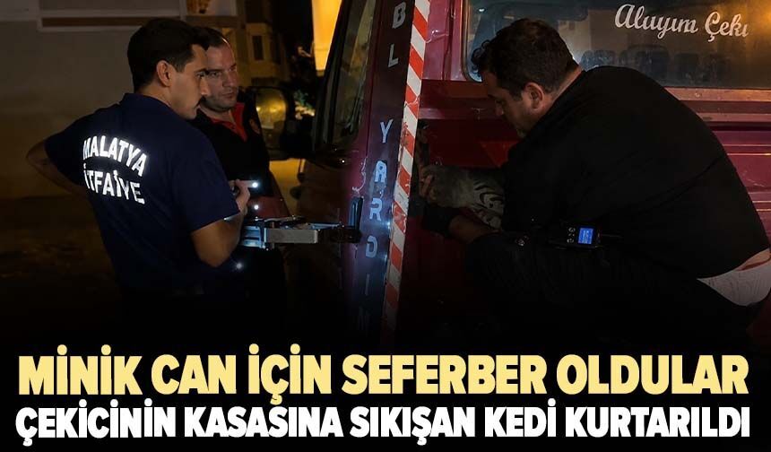 Minik can için seferber oldular! Çekicinin kasasına sıkışan kedi kurtarıldı