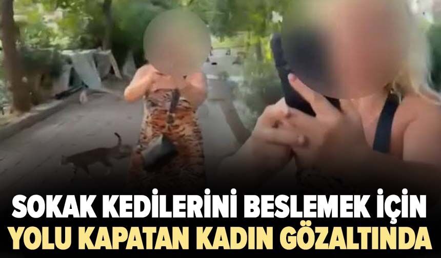 Sokak kedilerini beslemek için yolu kapatan kadın gözaltında
