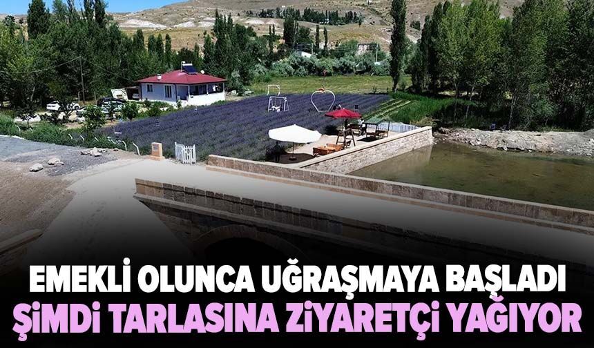 Emekli olunca uğraşmaya başladı: Şimdi tarlasına ziyaretçi yağıyor!