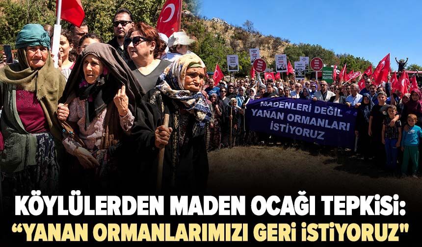 Köylülerden maden ocağı tepkisi: "Madenleri değil, yanan ormanlarımızı geri istiyoruz"