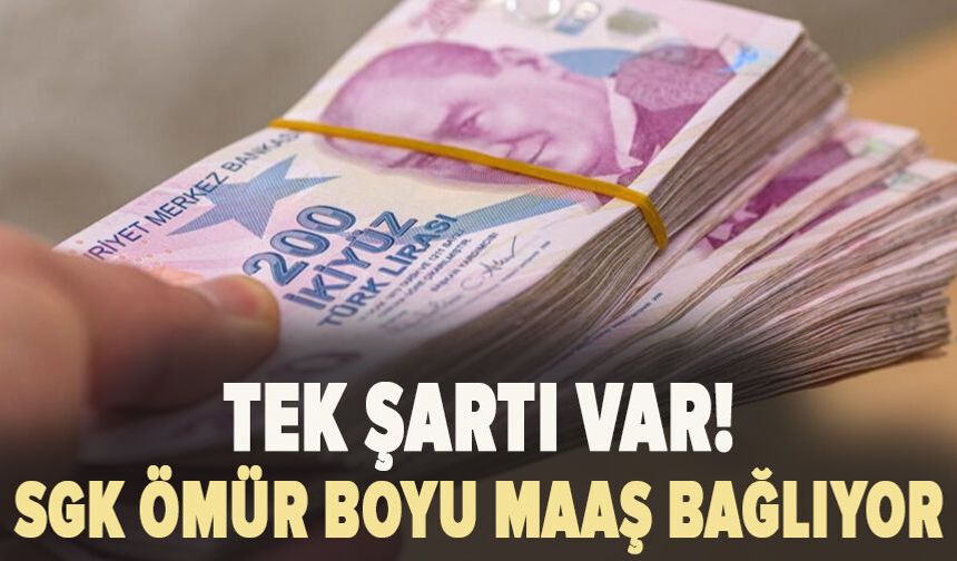 Tek şartı var!  SGK ömür boyu maaş bağlıyor