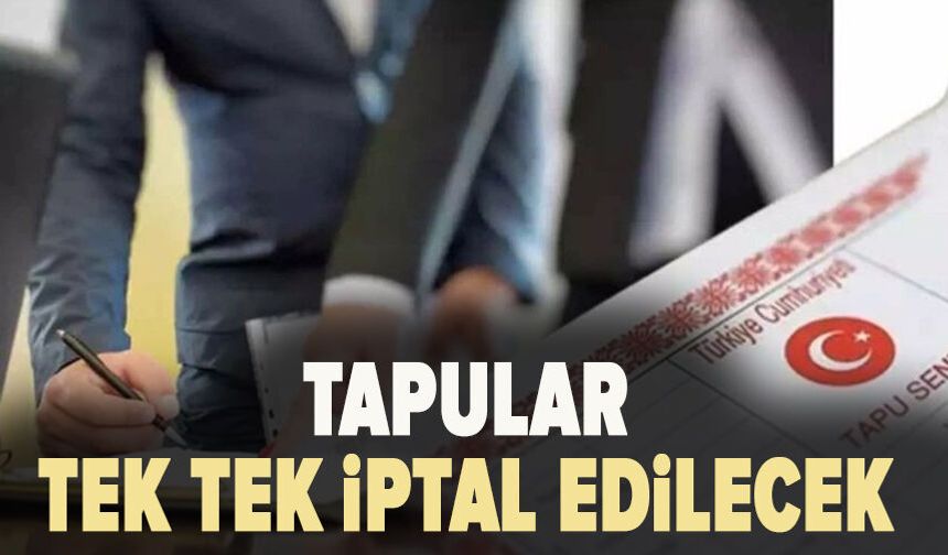 Yargıtay'dan ev kararı: Tapular tek tek iptal edilecek