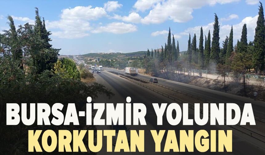 Bursa-İzmir yolunda yangın