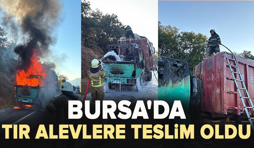 Talaş yüklü tır alevlere teslim oldu