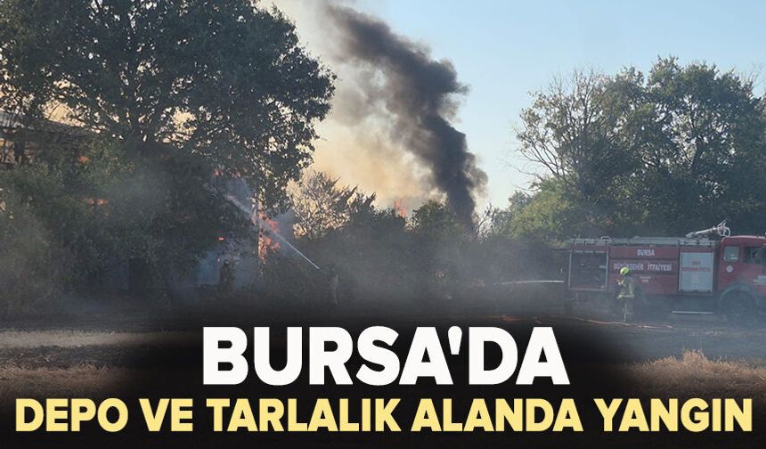 Bursa'da depo ve tarlalık alanda yangın