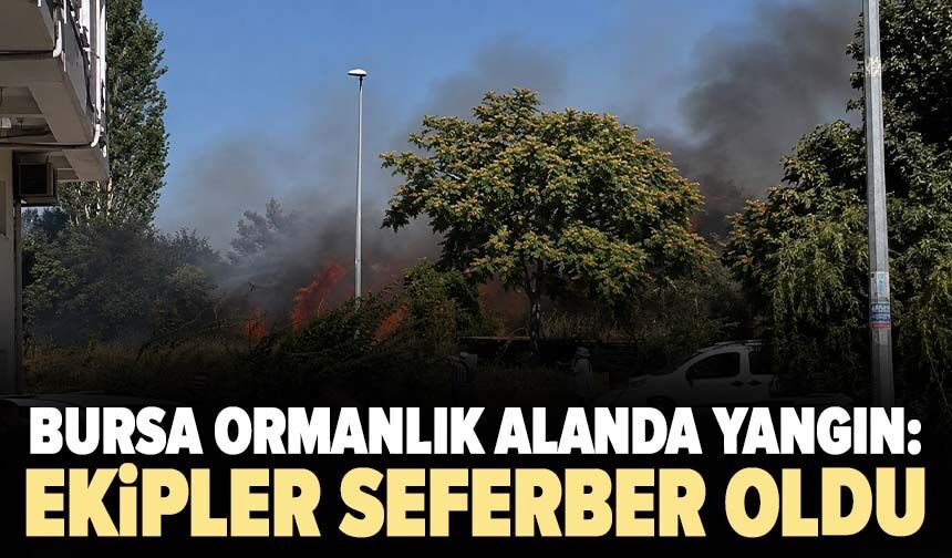 Bursa ormanlık alanda yangın: Ekipler seferber oldu!