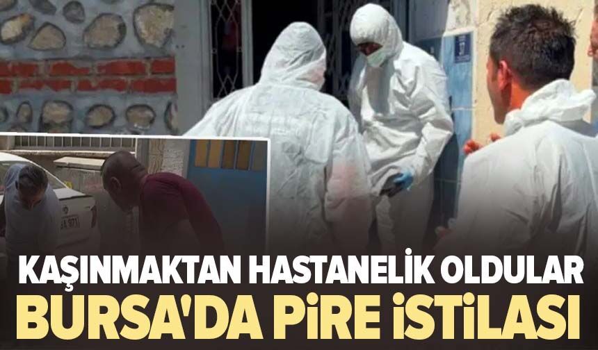 Bursa'da pire istilası! Kaşınmaktan hastanelik oldular, evden çıkanlar şaşırttı