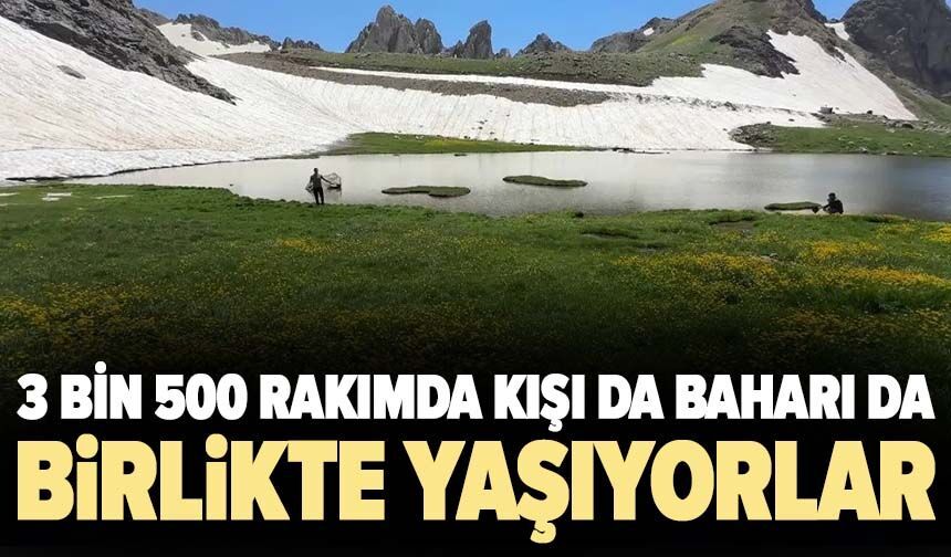 3 bin 500 rakımda kışı da baharı da birlikte yaşıyorlar!