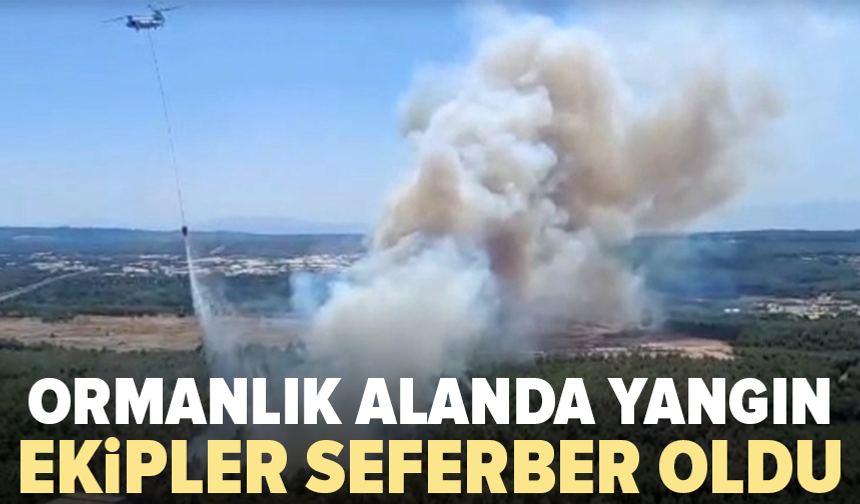 Rüzgar alevleri büyüttü: Müdahale sürüyor