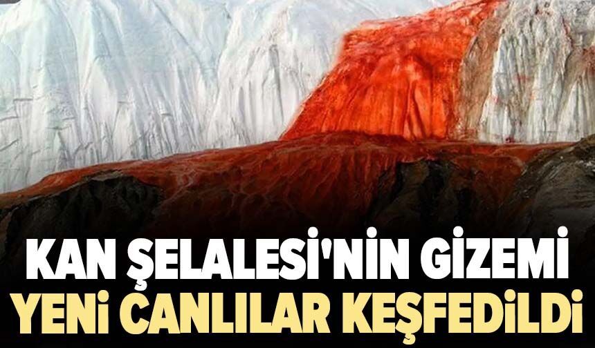 Kan Şelalesi'nin gizemi: Buzulların altından yeni canlılar keşfedildi!