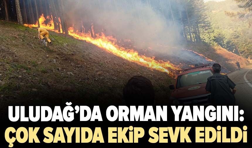 Uludağ’da orman yangını: Çok sayıda ekip sevk edildi