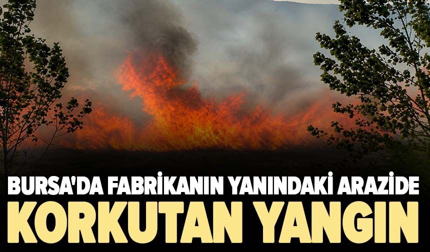 Bursa'da fabrikanın yanındaki arazide korkutan yangın
