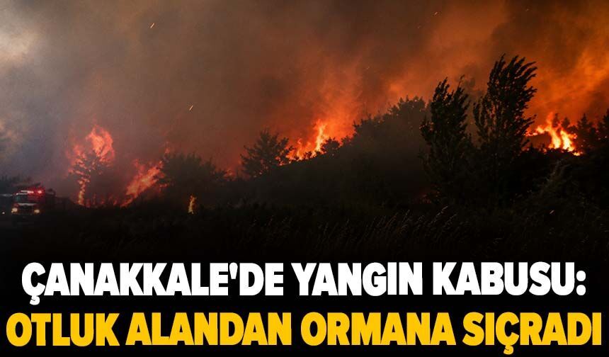 Çanakkale'de yangın kabusu: Otluk alandan ormana sıçradı