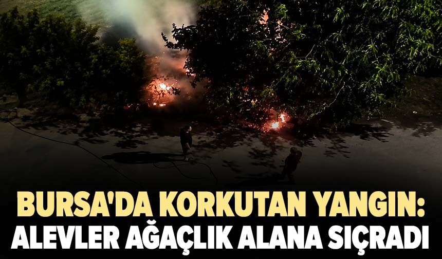 Bursa'da korkutan yangın: Alevler ağaçlık alana sıçradı