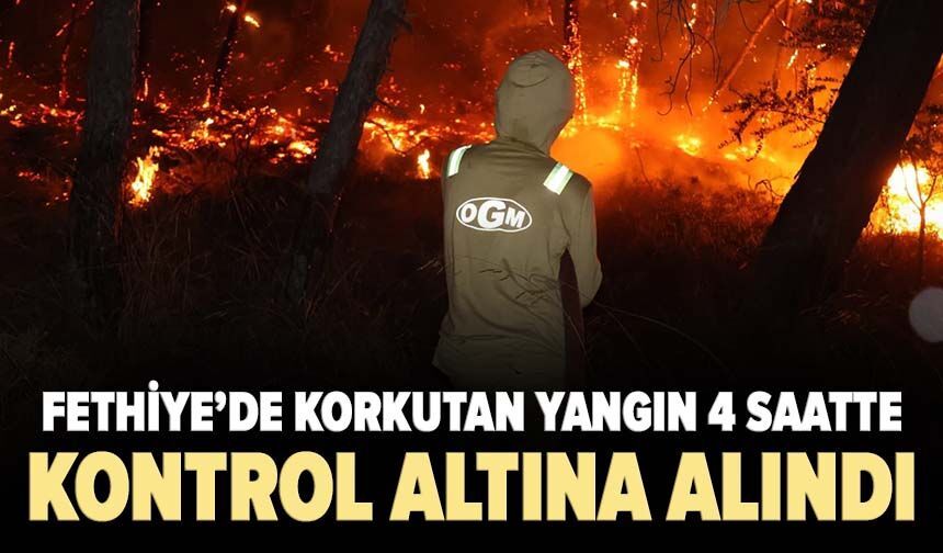 Fethiye’de korkutan yangın 4 saatte kontrol altına alındı