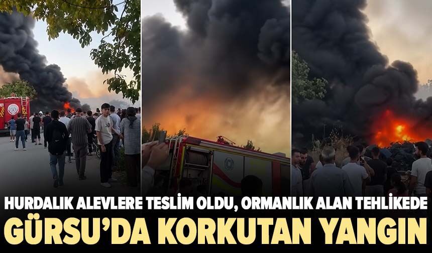Gürsu’da korkutan yangın: Hurdalık alevlere teslim oldu, ormanlık alan tehlikede