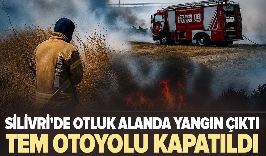 Silivri'de yangın çıktı! TEM Otoyolu kapatıldı