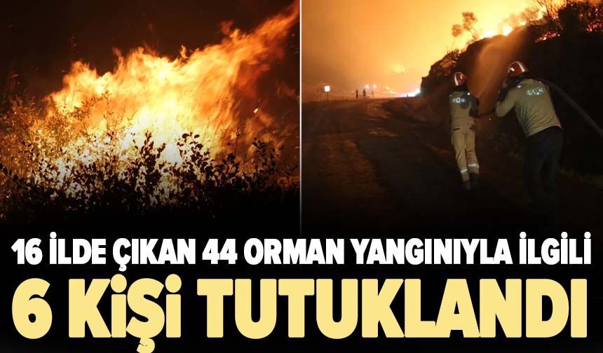 16 ilde çıkan 44 orman yangınıyla ilgili 6 kişi tutuklandı