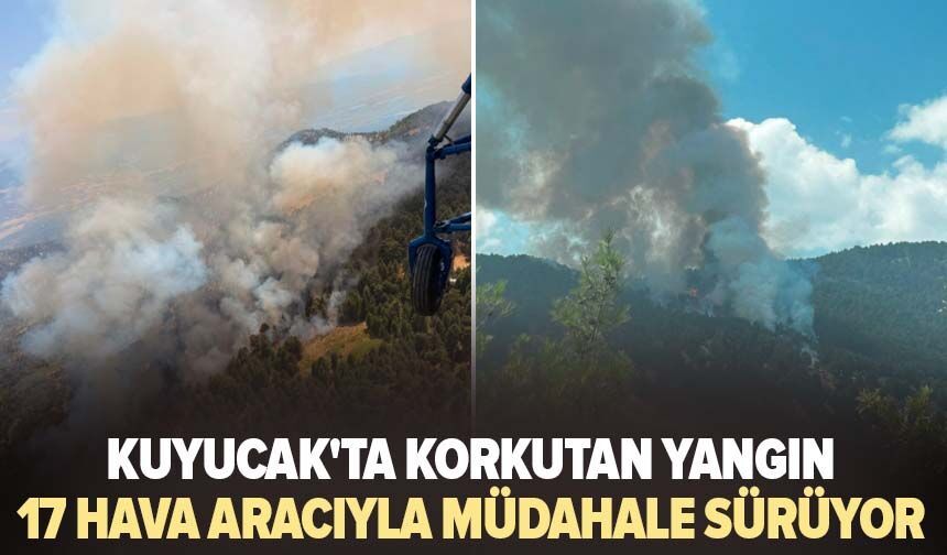 Kuyucak'taki yangına 17 hava aracıyla müdahale sürüyor