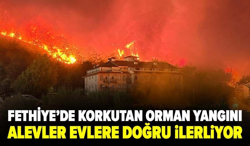Fethiye’de korkutan orman yangını! Alevler evlere doğru ilerliyor